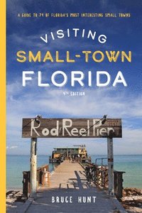 bokomslag Visiting Small-Town Florida