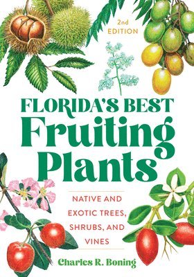 bokomslag Florida's Best Fruiting Plants