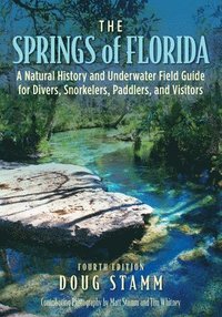 bokomslag The Springs of Florida