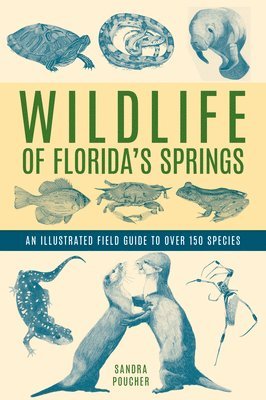 Wildlife of Florida's Springs 1