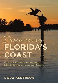 bokomslag Discovering Florida's Coast