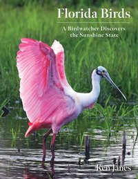 bokomslag Florida Birds