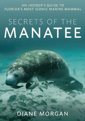 bokomslag Secrets of the Manatee