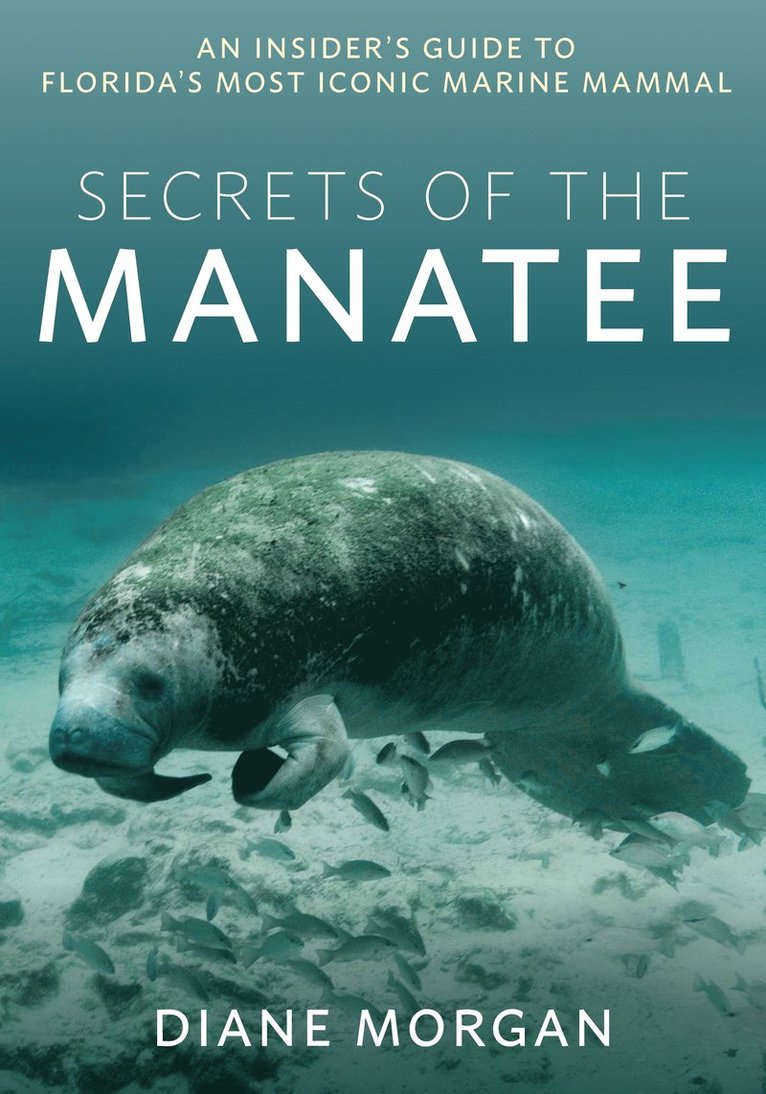 Diane Morgan - Secrets of the Manatee, Häftad