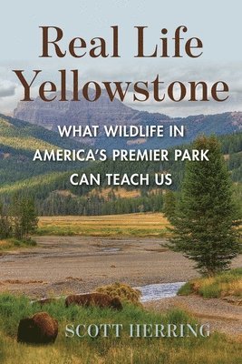 Scott Herring - Real Life Yellowstone, Häftad