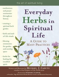 bokomslag Everyday Herbs in Spiritual Life