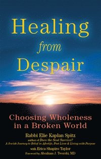 bokomslag Healing from Despair