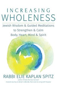 bokomslag Increasing Wholeness