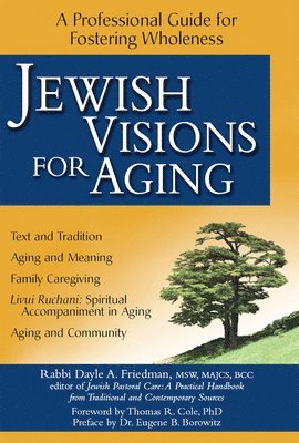 bokomslag Jewish Visions for Aging