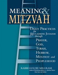 bokomslag Meaning & Mitzvah