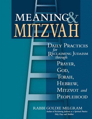 Meaning & Mitzvah 1