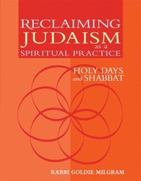 bokomslag Reclaiming Judaism as a Spiritual Practice