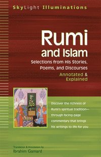bokomslag Rumi and Islam