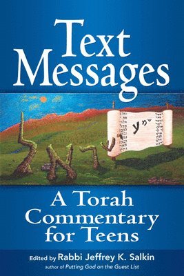 Jeffrey K. Salkin - Text Messages, Häftad