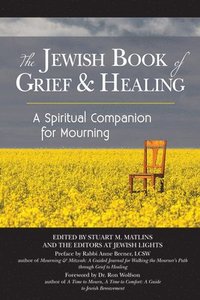 bokomslag The Jewish Book of Grief and Healing