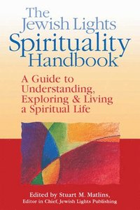 bokomslag The Jewish Lights Spirituality Handbook
