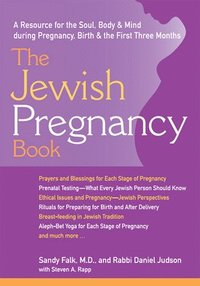 bokomslag The Jewish Pregnancy Book
