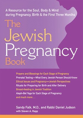 The Jewish Pregnancy Book 1