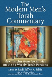 bokomslag Modern Men's Torah Commentary
