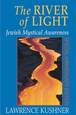 bokomslag River of Light