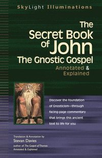 bokomslag The Secret Book of John