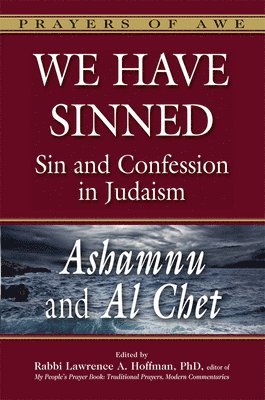bokomslag We Have Sinned