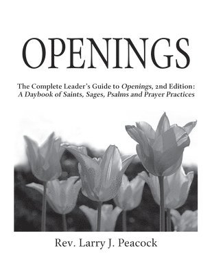 Larry J. Peacock, Rev. Larry J. Peacock, Larry J Peacock - Openings Leader Guide 2/E, Inbunden