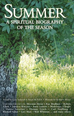 Gary Schmidt, Susan M. Felch - Summer, Häftad