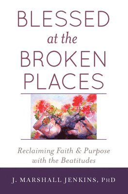 J. Marshall Jenkins PhD, J. Marshall Jenkins Phd, J. Marshall Jenkins - Blessed at the Broken Places, Inbunden