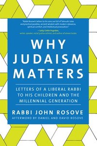 bokomslag Why Judaism Matters