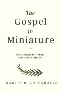 bokomslag The Gospel in Miniature