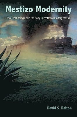 David S. Dalton, David S Dalton - Mestizo Modernity, Inbunden