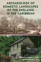 bokomslag Archaeology of Domestic Landscapes of the Enslaved in the Caribbean