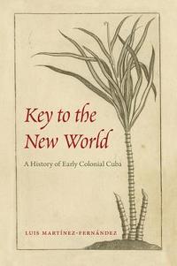 bokomslag Key to the New World