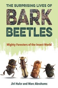 bokomslag The Surprising Lives of Bark Beetles