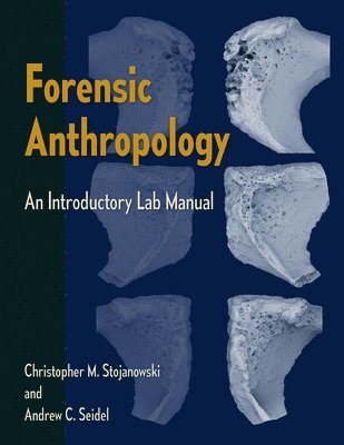 bokomslag Forensic Anthropology