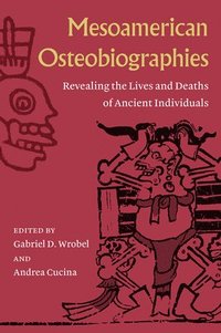 bokomslag Mesoamerican Osteobiographies