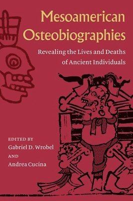 bokomslag Mesoamerican Osteobiographies