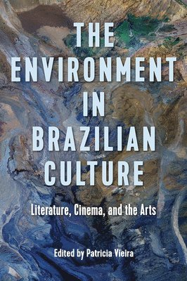bokomslag Environment in Brazilian Culture