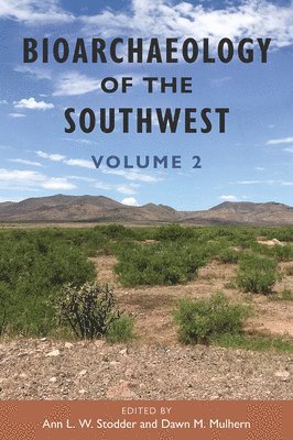 bokomslag Bioarchaeology of the Southwest