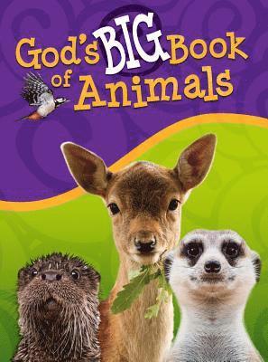 bokomslag God's Big Book of Animals