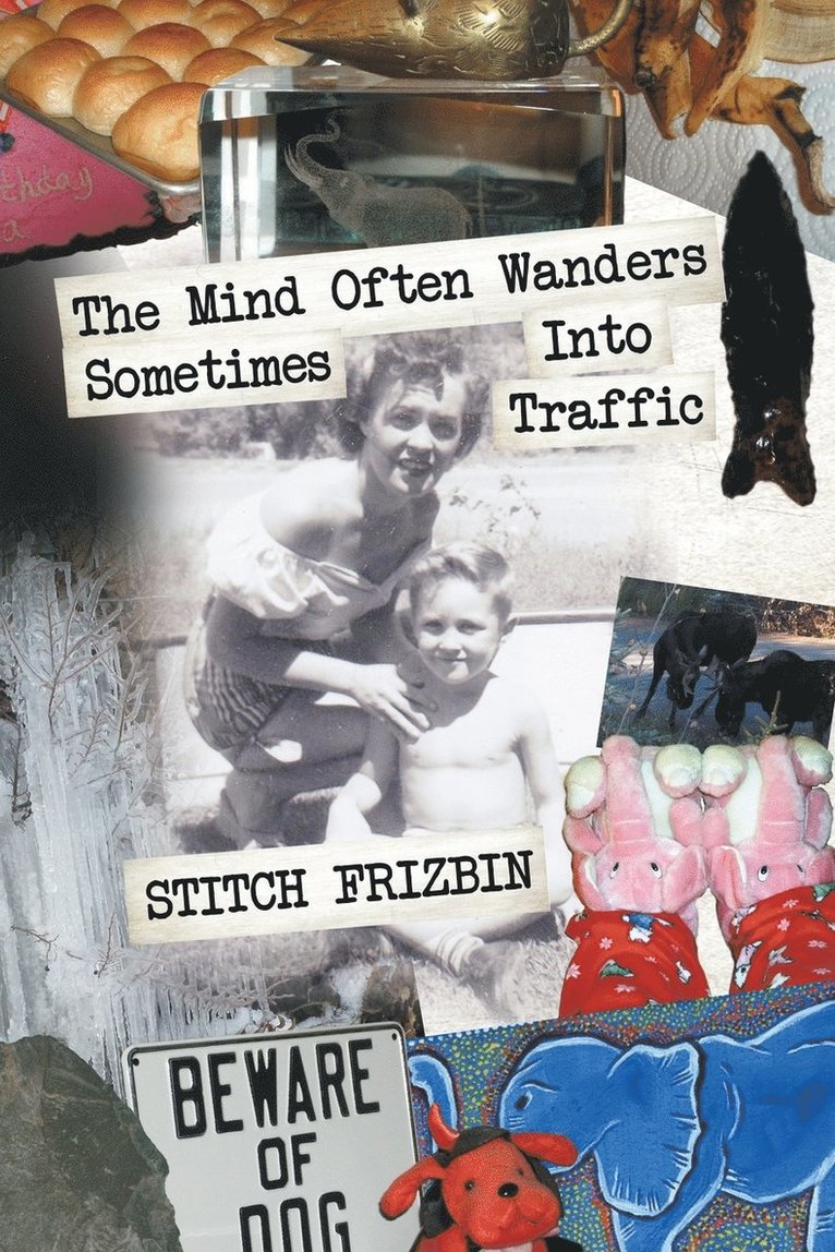 Stitch Frizbin - Mind Often Wanders Sometimes Into Traffic, Häftad