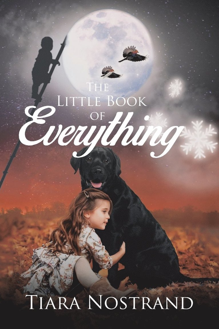 The Little Book of Everything 1