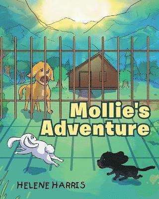 bokomslag Mollie's Adventure