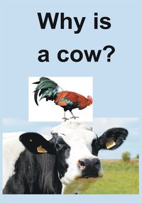 bokomslag Why Is a Cow?