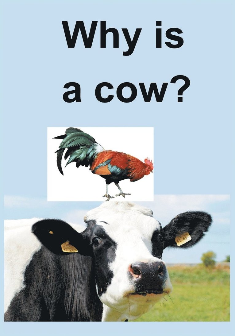 Why Is a Cow? 1