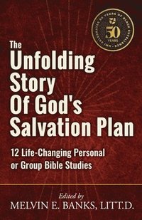 bokomslag Unfolding Story of God's Salvation Plan