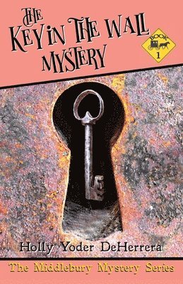 bokomslag The Key in the Wall Mystery