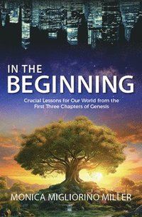 bokomslag In the Beginning: Critical Lessons for Our World from the First Three Chapters of Genesis