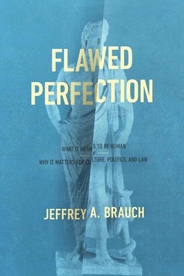 Jeffrey A. Brauch, Jeffrey A Brauch - Flawed Perfection, Häftad